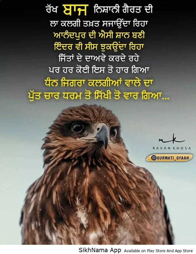 baaz
